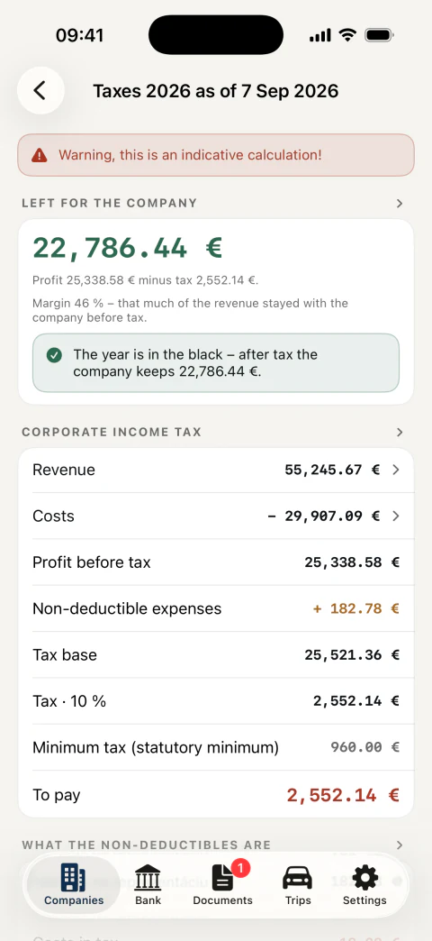 Provisional income tax with a breakdown: revenue, costs, tax base and what is left to the company after tax